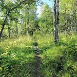 Flott Sentralt I Hallingdal Casa vacanze Ål