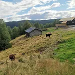 Flott Sentralt I Hallingdal * 奥尔