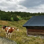 度假居 Flott Sentralt I Hallingdal 奥尔
