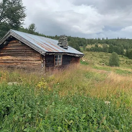 Flott Sentralt I Hallingdal 度假居