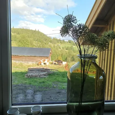 Semesterbostad Flott Sentralt I Hallingdal