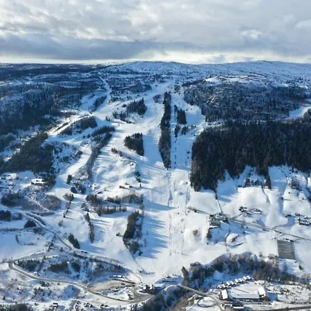Flott Sentralt I Hallingdal Semesterbostad *