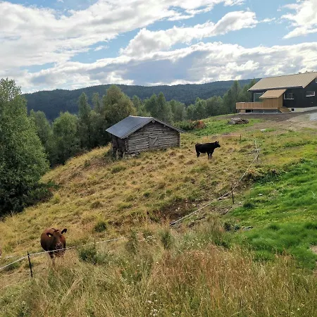 Flott Sentralt I Hallingdal * Al
