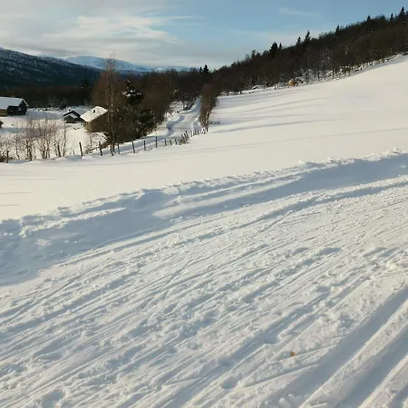 度假居 Flott Sentralt I Hallingdal *