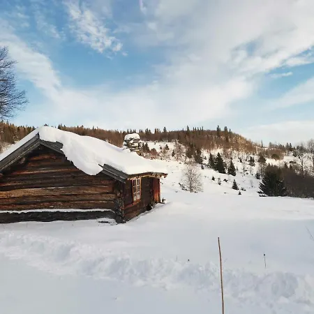 Ferienhaus Flott Sentralt I Hallingdal Ål