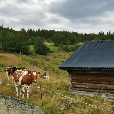 Semesterbostad Flott Sentralt I Hallingdal Ål