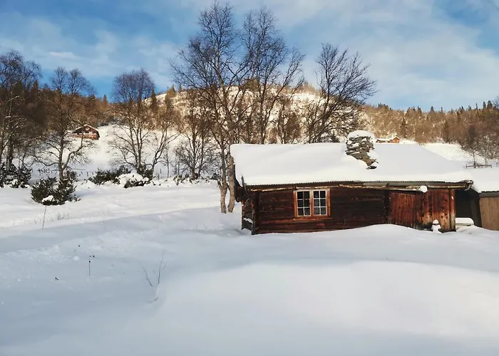 Flott Sentralt I Hallingdal * Ål