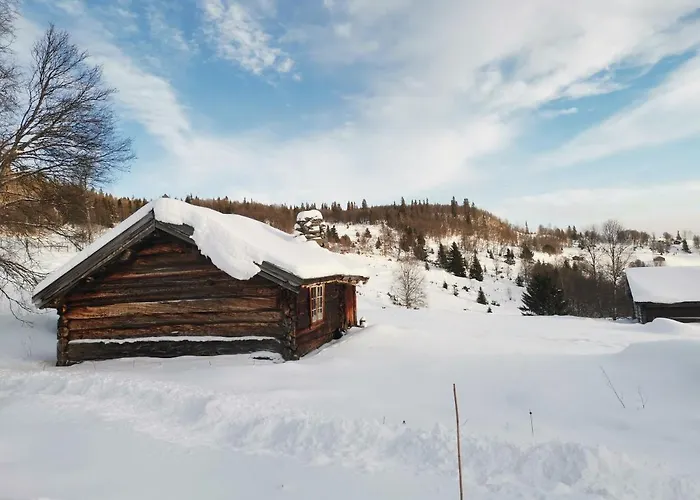 Casa de Férias Flott Sentralt I Hallingdal Ål