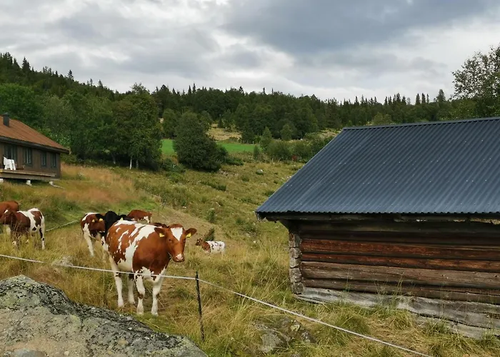 בית נופש Flott Sentralt I Hallingdal אל