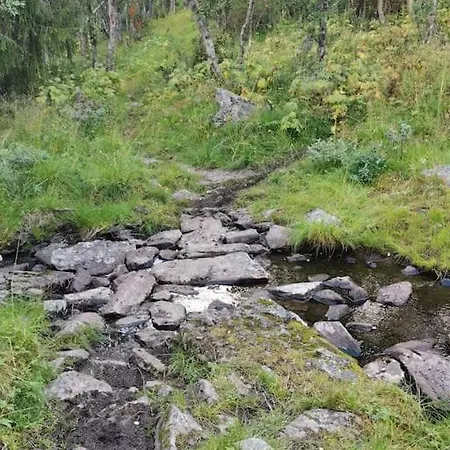 Flott Sentralt I Hallingdal * Al