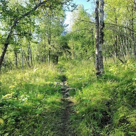 Flott Sentralt I Hallingdal Feriehus Al