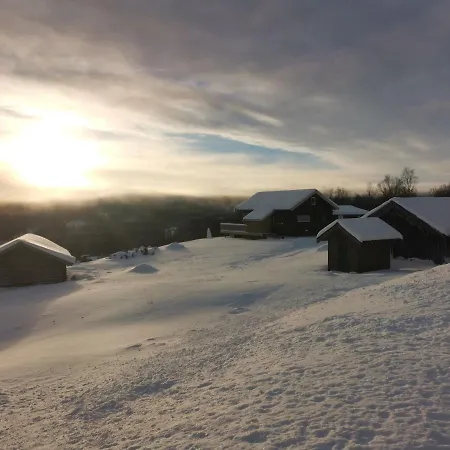 Flott Sentralt I Hallingdal *