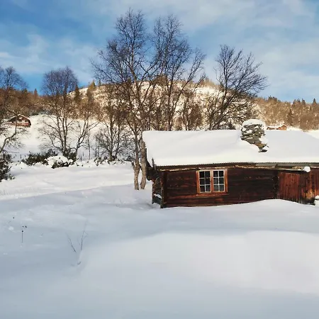 Flott Sentralt I Hallingdal * Al