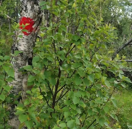 Flott Sentralt I Hallingdal